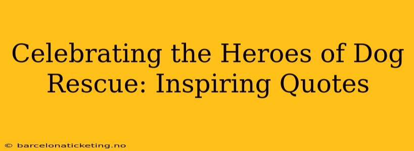 Celebrating the Heroes of Dog Rescue: Inspiring Quotes