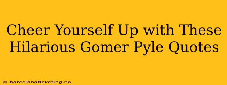 Cheer Yourself Up with These Hilarious Gomer Pyle Quotes