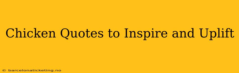 Chicken Quotes to Inspire and Uplift