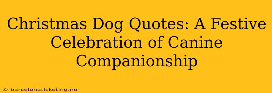 Christmas Dog Quotes: A Festive Celebration of Canine Companionship