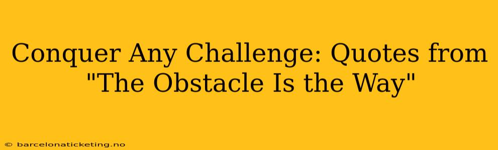Conquer Any Challenge: Quotes from "The Obstacle Is the Way"