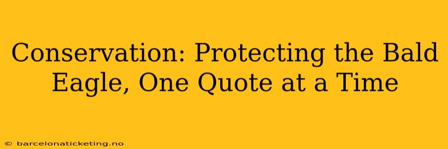 Conservation: Protecting the Bald Eagle, One Quote at a Time