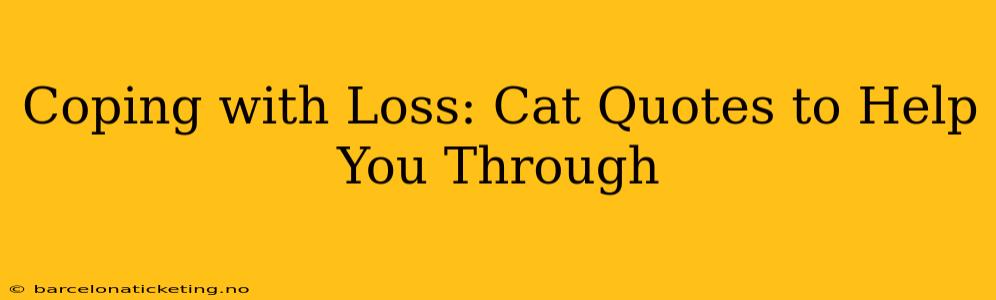 Coping with Loss: Cat Quotes to Help You Through