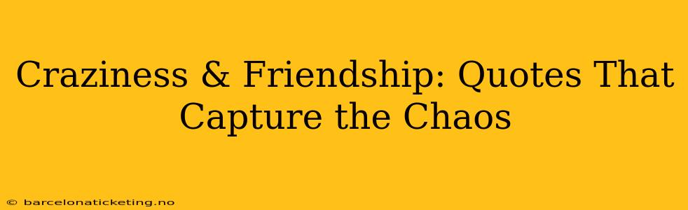 Craziness & Friendship: Quotes That Capture the Chaos