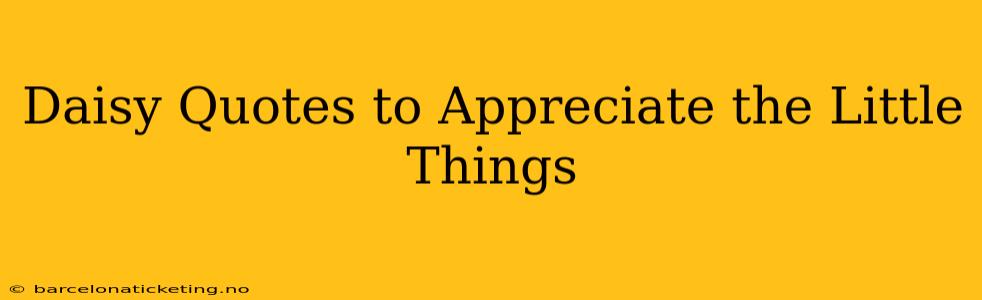 Daisy Quotes to Appreciate the Little Things