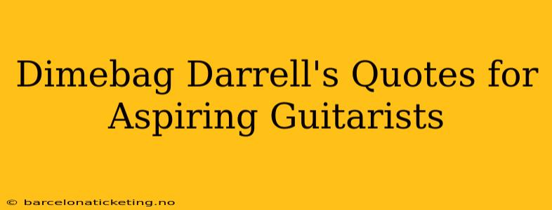 Dimebag Darrell's Quotes for Aspiring Guitarists