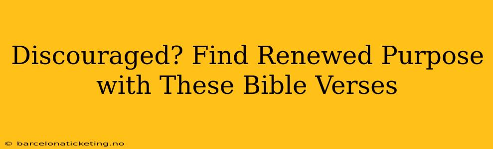 Discouraged? Find Renewed Purpose with These Bible Verses