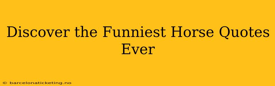 Discover the Funniest Horse Quotes Ever