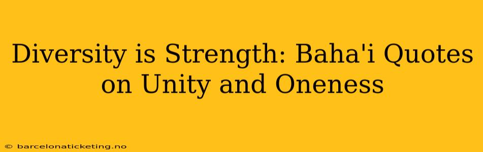 Diversity is Strength: Baha'i Quotes on Unity and Oneness