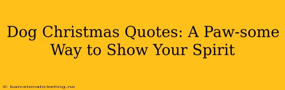 Dog Christmas Quotes: A Paw-some Way to Show Your Spirit
