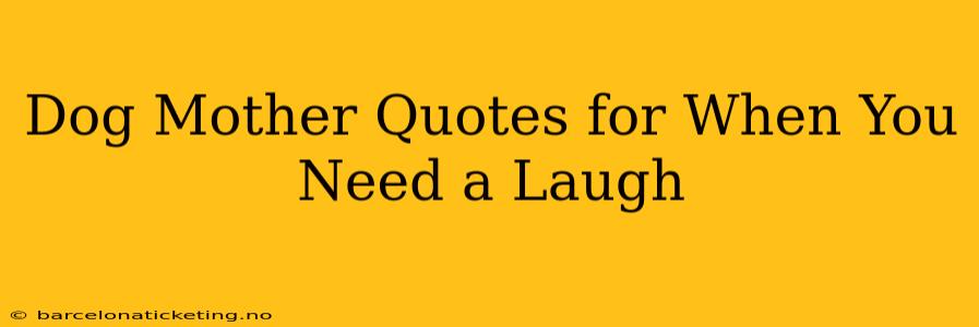 Dog Mother Quotes for When You Need a Laugh