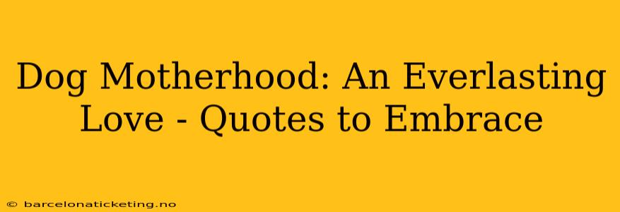Dog Motherhood: An Everlasting Love - Quotes to Embrace