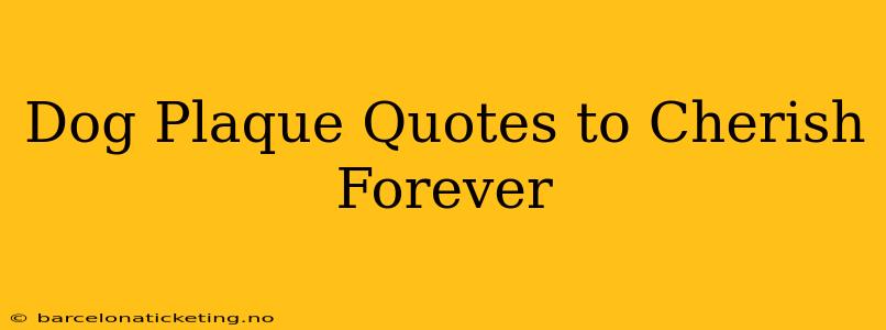 Dog Plaque Quotes to Cherish Forever