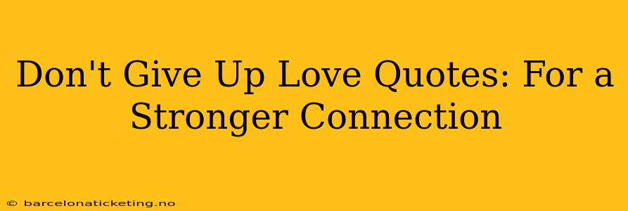 Don't Give Up Love Quotes: For a Stronger Connection
