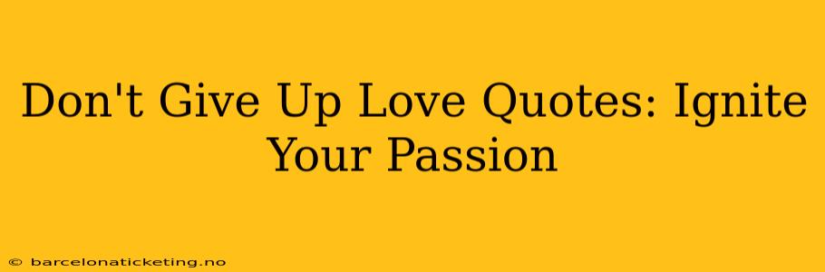 Don't Give Up Love Quotes: Ignite Your Passion