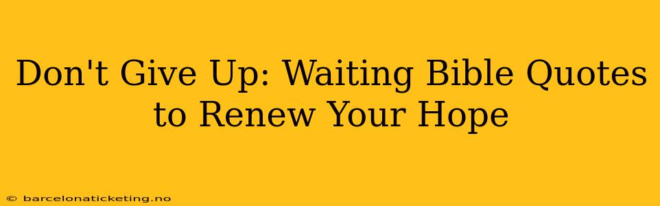 Don't Give Up: Waiting Bible Quotes to Renew Your Hope