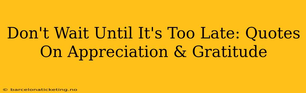 Don't Wait Until It's Too Late: Quotes On Appreciation & Gratitude