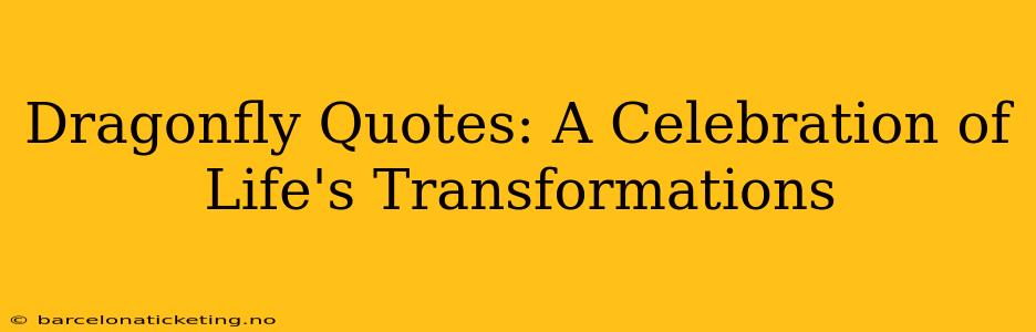 Dragonfly Quotes: A Celebration of Life's Transformations