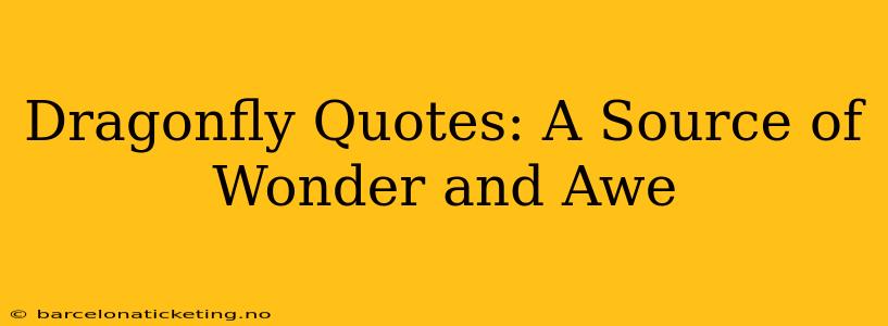 Dragonfly Quotes: A Source of Wonder and Awe