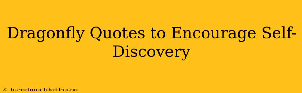 Dragonfly Quotes to Encourage Self-Discovery