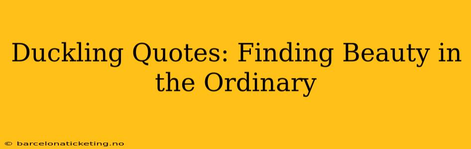 Duckling Quotes: Finding Beauty in the Ordinary