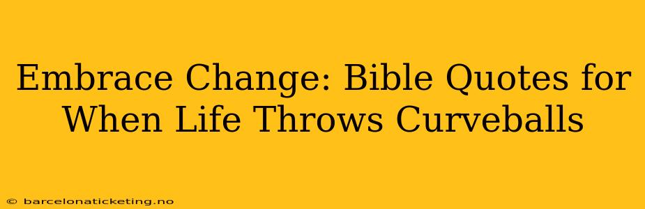 Embrace Change: Bible Quotes for When Life Throws Curveballs