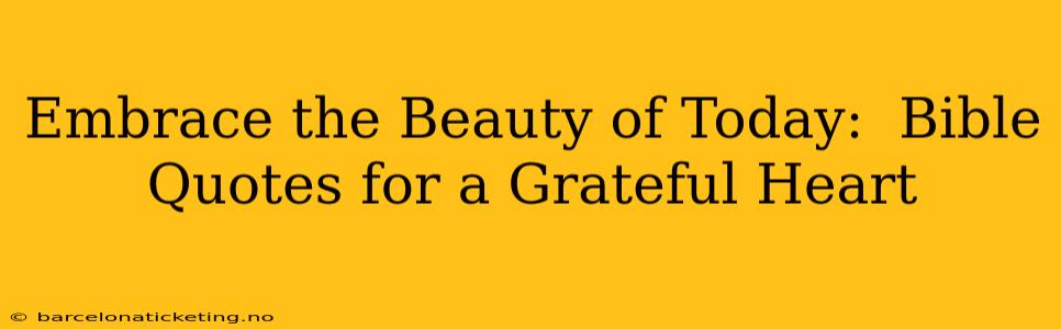 Embrace the Beauty of Today:  Bible Quotes for a Grateful Heart