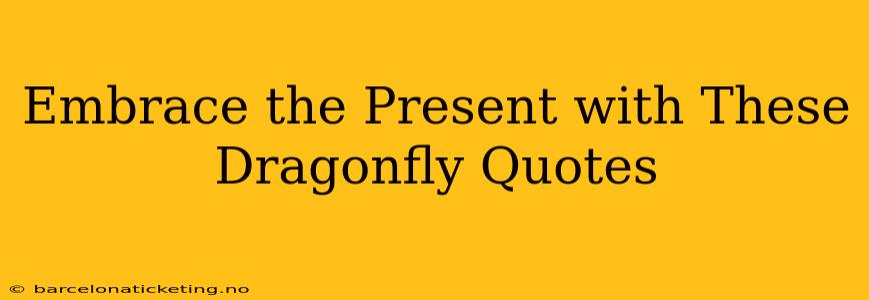 Embrace the Present with These Dragonfly Quotes