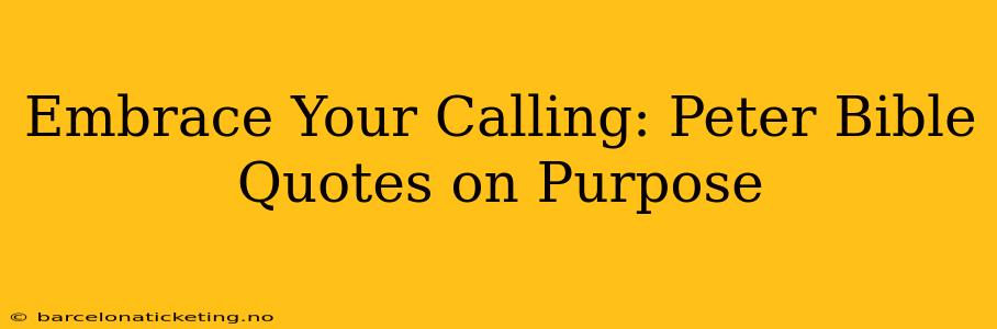 Embrace Your Calling: Peter Bible Quotes on Purpose
