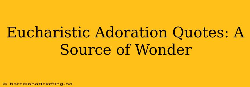 Eucharistic Adoration Quotes: A Source of Wonder