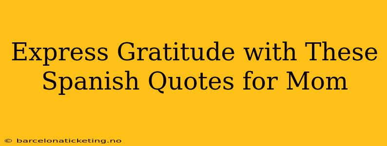 Express Gratitude with These Spanish Quotes for Mom