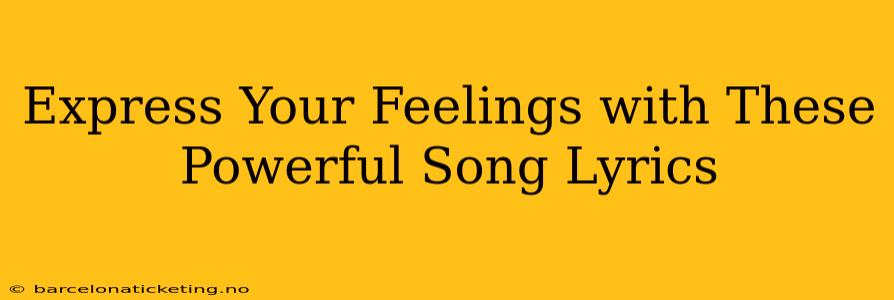 Express Your Feelings with These Powerful Song Lyrics