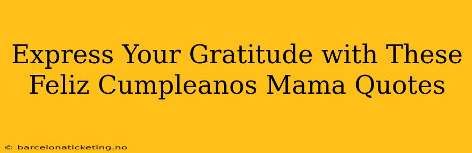 Express Your Gratitude with These Feliz Cumpleanos Mama Quotes