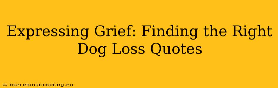 Expressing Grief: Finding the Right Dog Loss Quotes