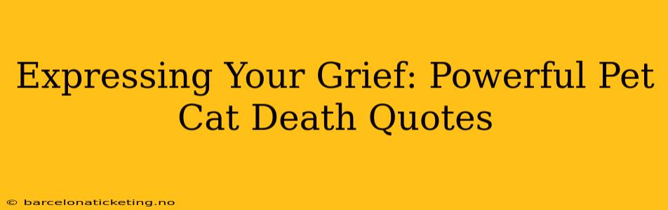 Expressing Your Grief: Powerful Pet Cat Death Quotes