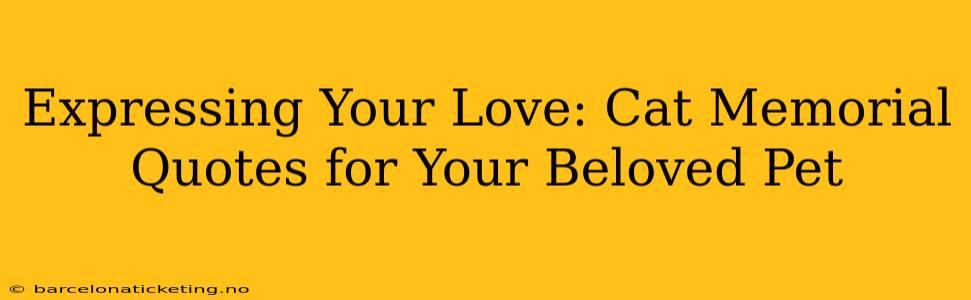 Expressing Your Love: Cat Memorial Quotes for Your Beloved Pet