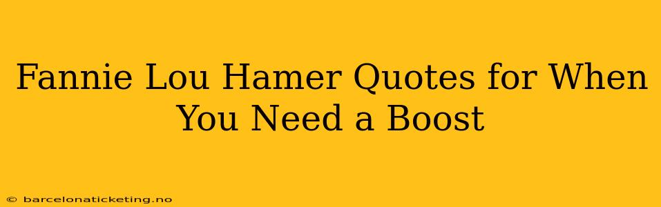 Fannie Lou Hamer Quotes for When You Need a Boost