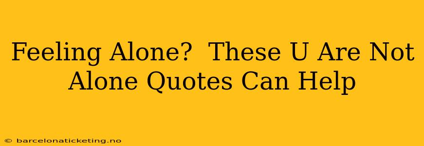 Feeling Alone?  These U Are Not Alone Quotes Can Help