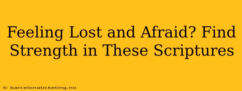 Feeling Lost and Afraid? Find Strength in These Scriptures
