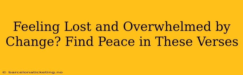 Feeling Lost and Overwhelmed by Change? Find Peace in These Verses