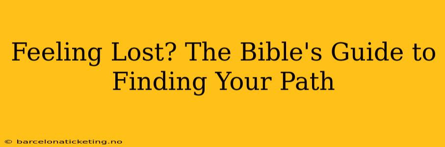 Feeling Lost? The Bible's Guide to Finding Your Path