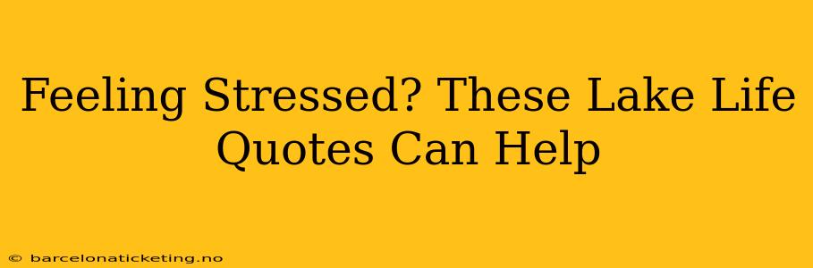 Feeling Stressed? These Lake Life Quotes Can Help