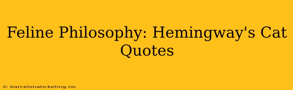 Feline Philosophy: Hemingway's Cat Quotes