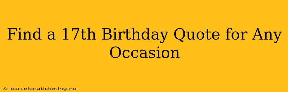 Find a 17th Birthday Quote for Any Occasion