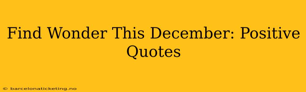 Find Wonder This December: Positive Quotes