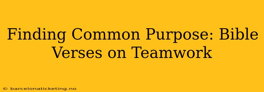 Finding Common Purpose: Bible Verses on Teamwork