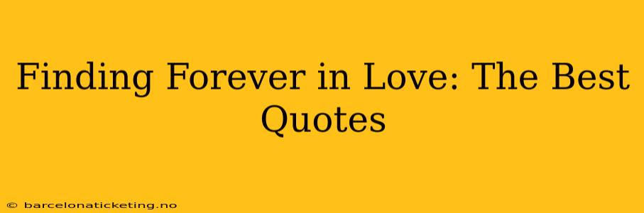 Finding Forever in Love: The Best Quotes