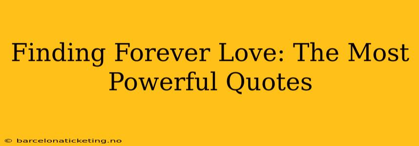 Finding Forever Love: The Most Powerful Quotes
