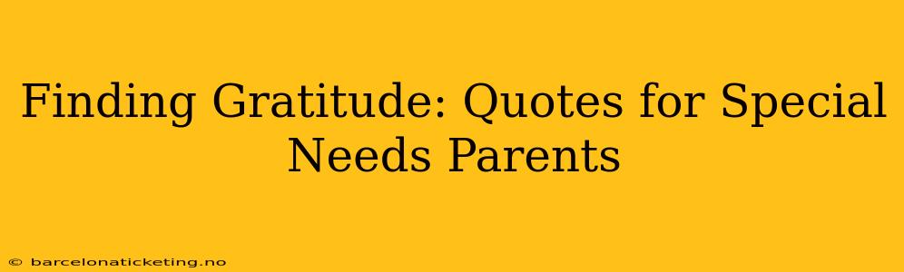 Finding Gratitude: Quotes for Special Needs Parents