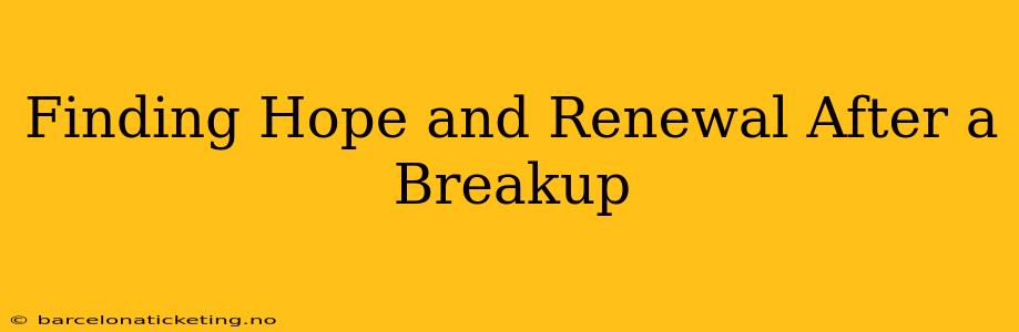 Finding Hope and Renewal After a Breakup